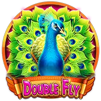 Double Fly 