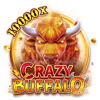 CRAZY BUFFALO