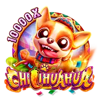 Chillihuahua
